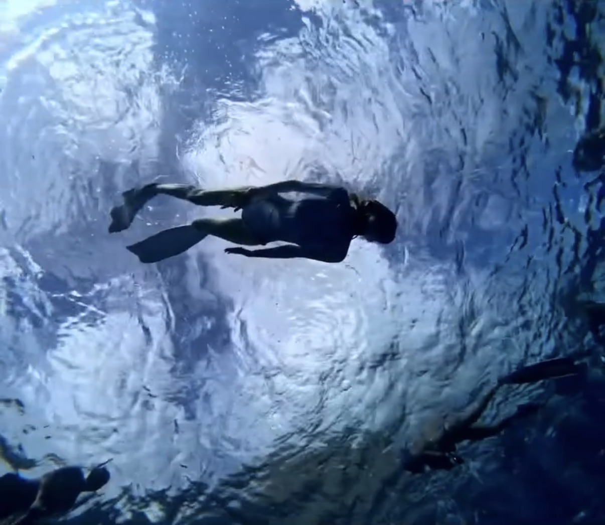 A diver swimming beneath the water surface